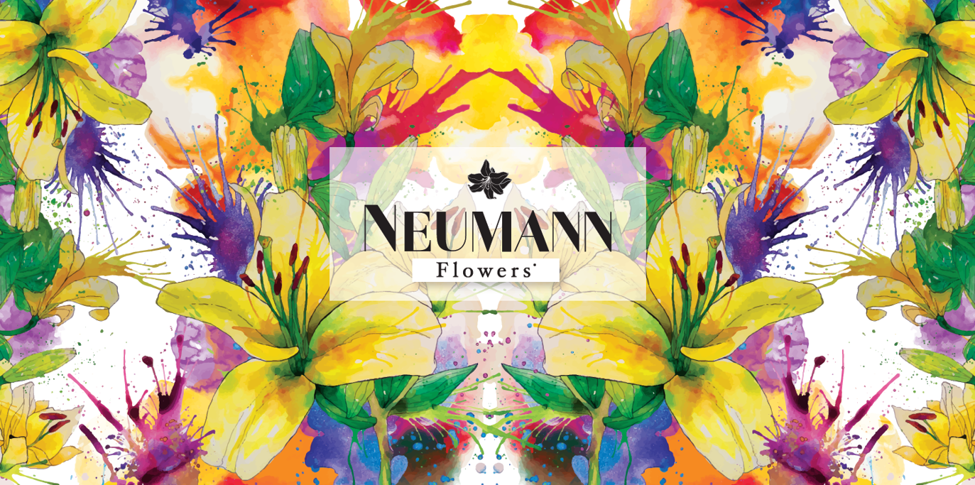 Neumann Flowers 